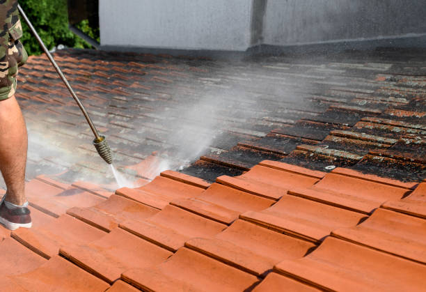 Best House Pressure Washing  in La Salle, CO
