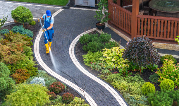 Best Pressure Washing Patio  in La Salle, CO